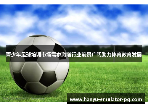 青少年足球培训市场需求激增行业前景广阔助力体育教育发展 青少年足球培训市场需求激增行业前景广阔助力体育教育发展